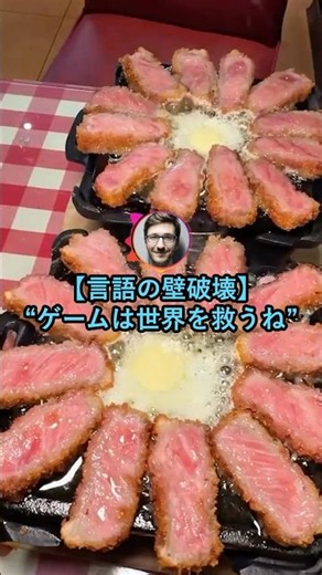 【言語の壁破壊】ゲームは世界を救うね【2ch面白いスレ】