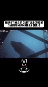 670K views · 5.1K reactions | Terrifying Sea Creature Caught Swimming Under Oil Rig | The Rabbit Hole | Facebook