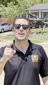 15 reactions | The Phoenix Insurance on Reels | Facebook