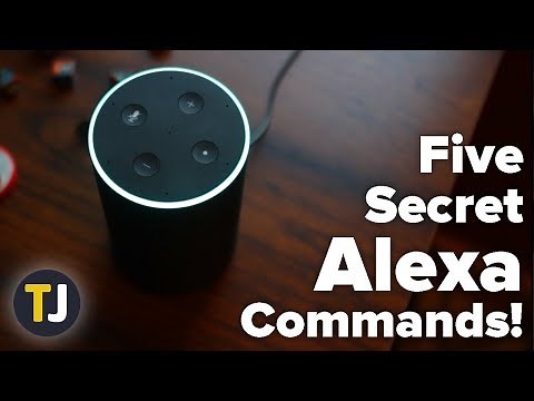 The Top Five Alexa Commands You Might Not Know!