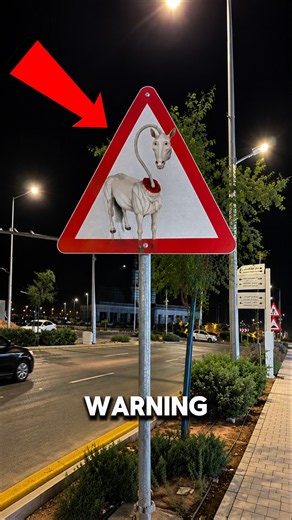 Why Long Horse Appears Before Danger in Minecraft… 🐴😱