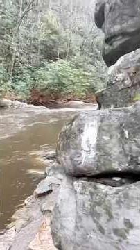 AT - Roan Highlands to Watauga Lake #hiking #adventure #nature #outdoors #appalachiantrail