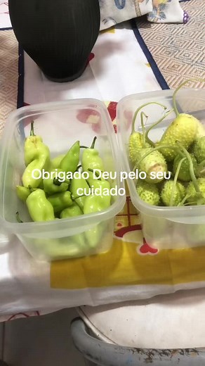 Alice Ramos no TikTok