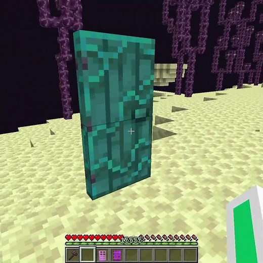 Immersive Portals Doors in Minecraft