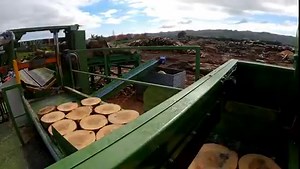 1.3K views · 28 reactions | How much wood could a woodchuck chuck if a woodchuck could chuck wood?  | Ignition Firewood | Facebook