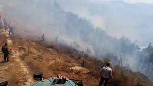 Raging wildfires in Syria's Latakia province | The National