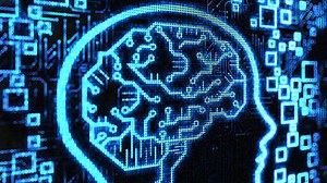 Possibility to more accurately analyze parts and features of the human brain by new brain mapping