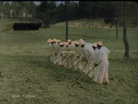 Worksongs - Texas Prison [Colourised] 1966