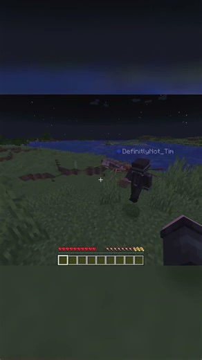 REALISTISCHE INSEKTEN in Minecraft #shorts