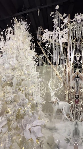 Exploring the Spectacular Raz Imports Showroom