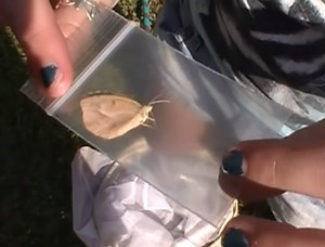 Collecting Tips – The Awkward Inbetween Steps