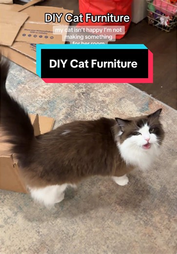DIY Cat Furniture for Your Spoiled Kitty