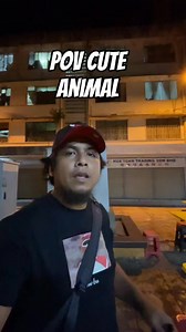 Cute animals example 😂 #reelsvideoシ #reelsfypシ | Joebeth Wahid