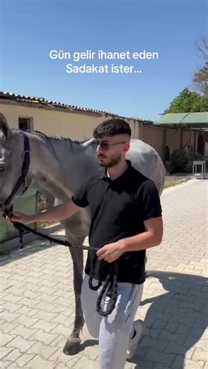 maestro.lab TikTok'ta