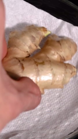 Ginger growing time lapse - 93 days in 58 seconds