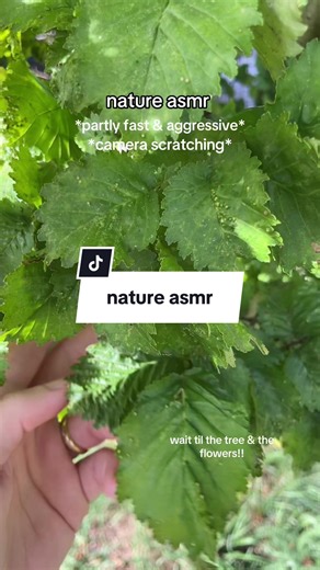 random.asmr on TikTok