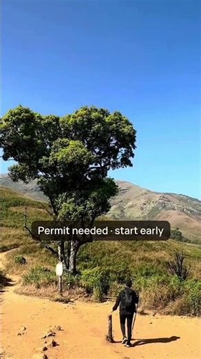 Kudremukh Trek: 20 km for This View ⛰️ #kudremukh #trekking #karnataka