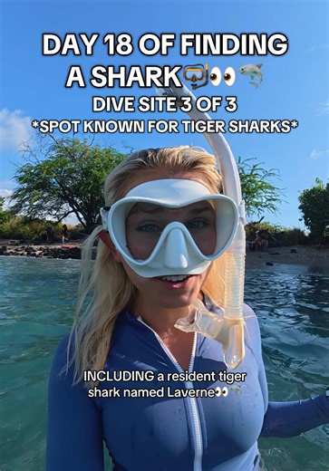 Diving at a spot KNOWN for having Tiger sharks… what could go wrong??😁🦈🦈 #sharks #hawaii #freediving #ocean #oceangirl