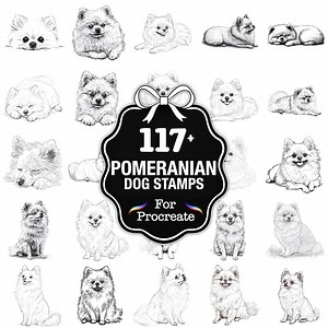 109 Pomeranian Dog Procreate Stamps, Pomeranian Brushes for Procreate, Instant Digital Download - Etsy Canada