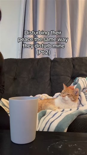 Rachel smith on Instagram: "😭😭😂😂"