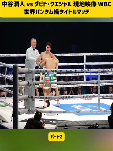 中谷潤人 vs ダビド･クエジャル: WBCタイトルマッチ