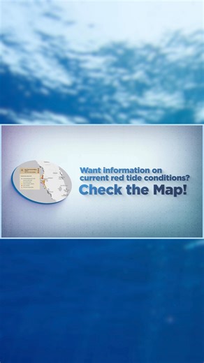 FWRI on Instagram: "When a red tide bloom occurs off Florida’s coast, where can you go to find an up-to-date map showing the known extent of the bloom? This video will show you some of the online tools FWC makes available to track red tide blooms as they occur, including our interactive daily sample map. 👉Please visit the link in our bio to access all our red tide resources, including our interactive map! 🎥Video: FWC #Redtide #FWCResearch #Conservation #Floridawaters #NowYouKnow #HelpfulResour