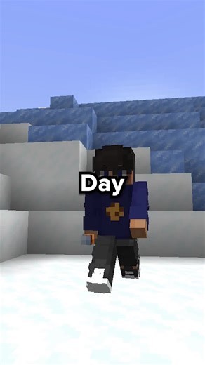 Exploring New Minecraft Servers: Lifesteal Gameplay