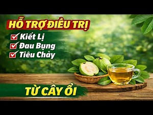 Guava leaves, a very familiar fruit tree, can help treat diarrhea, stomach pain, and dysentery.