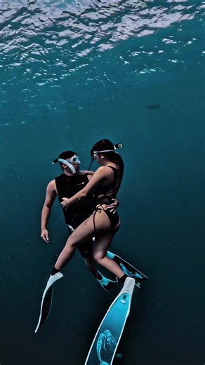 Experience the Beauty of Freediving in Moalboal