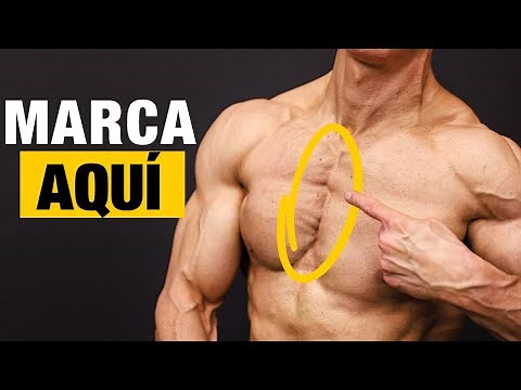 La Solución para Pecho MEDIO (PECTORALES DEFINIDOS)