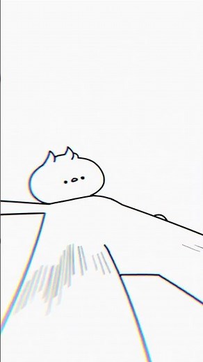MY NEW CAT