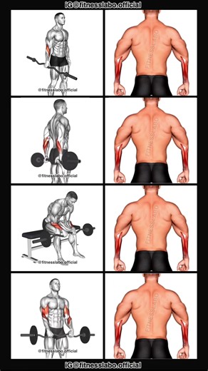 Forearm Workout with EZ-Bar: Strengthen Your Grip