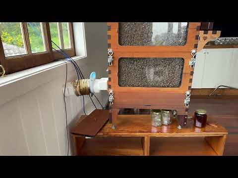 Can I have a beehive inside?