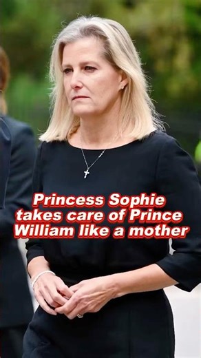 Princess Sophie takes care of Prince William like a mother, yet she tries to kill Camilla#sophie