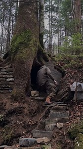 23K views · 409 reactions | Under the root of a large tree cozy cave building a secret warm shelter #diy #bushcraft #shelter | Jasmine | Facebook