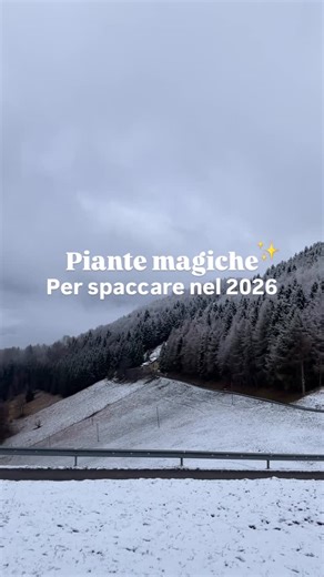 Silvia & Andrea | Botanical Design Studio • Giardini Verticali on Instagram: "🌿 Preparati a portare nella tua casa, lo spirito magico delle piante per il 2026! 1️⃣ EDERA: una delle piante più sacre dell’umanità! L’edera è simbolo di protezione, longevità, ma soprattutto fedeltà! Gli antichi popoli tenevano ghirlande di edera per propiziare i loro matrimoni e suggellare l’amore. 2️⃣ PUNGITOPO: è la pianta della gioia. Rami e bacche si usano come ornamenti per porte e finestre. 3️⃣ ABETE: è la pi