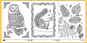 Mindfulness Colouring Pack for Parents: Autumn