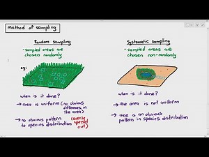 18-8 Random & Systematic Sampling (Cambridge AS A Level Biology, 9700)