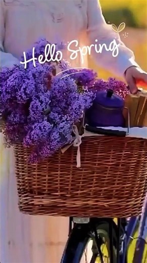 Sukuraka Allah Rabbi #islamicsong #islamicshorts #beautiful #gardening #flowers #purplemood #song