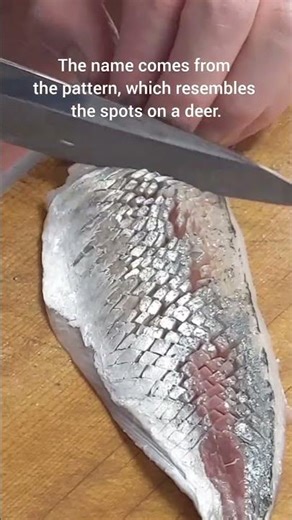 Knife Trick That Makes Sashimi Extra Flavorful