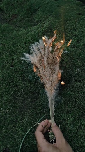 Bocah Hutan on Instagram: "Jangan pernah bertanya padaku bagaimana caranya menyalakan api cemburu, tapi bertanyalah bagaimana caranya menyalakan api menggunakan korek gas tapi gasnya abis. Saya yakin ilmu ini akan bermanfaat, daripada wakil rakyat yang nggak pernah ikut rapat.....ups... Toloong toloong.... #bocahhutan666 #bocahhutan #bushcraft #survival #hack"