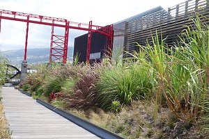 Sapef Paysage - Groupe Fages Réunion