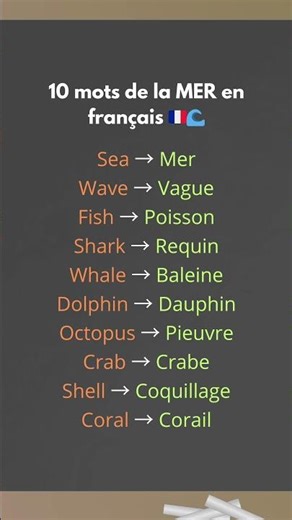 Vocabulaire de la MER en français 🇫🇷🌊