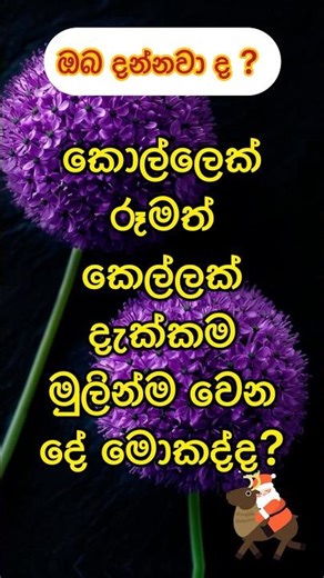 අම්මෝ ☺ #shortfeed #psycholgyfacts #shorts