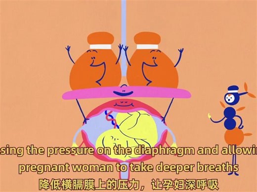 【TED】怀孕的令人惊讶的效果