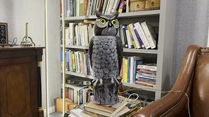 Simulate a PIR sensor with a timer on an Arduino