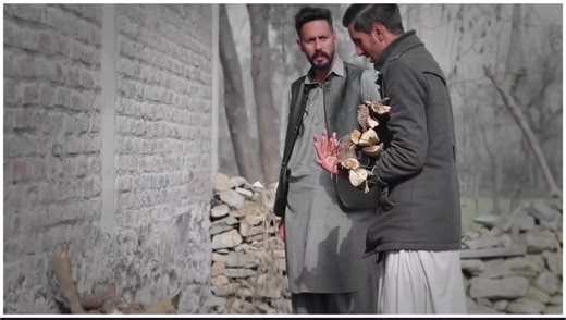 Exploring Buner: The Heart of Pashto Vines