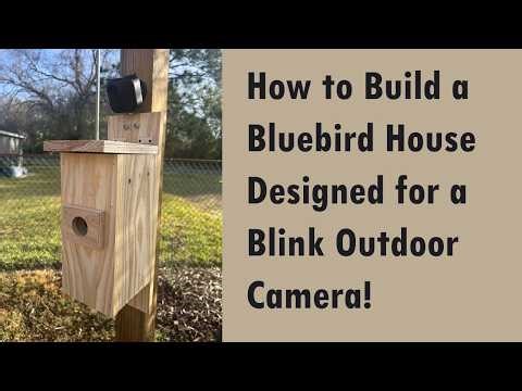 How to Build a Bluebird House Designed for a Blink Outdoor Camera