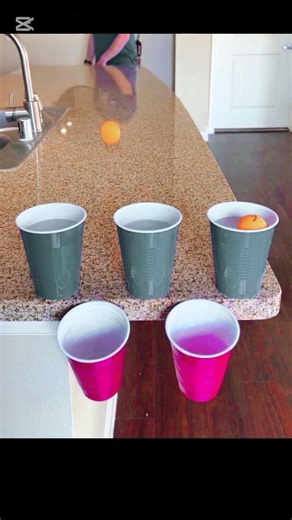 Impossible Trick Shot! 😱 Trick Shot Tonic Part- 211 #trickshot