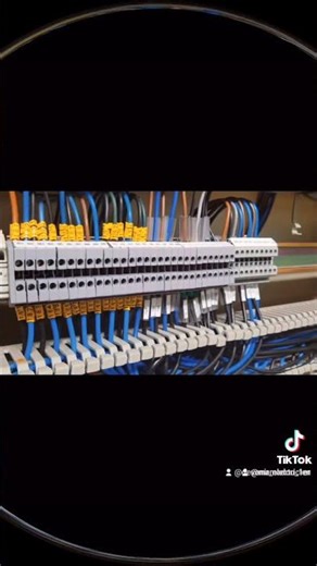 Électricité : Les schémas et câblages ESSENTIELS